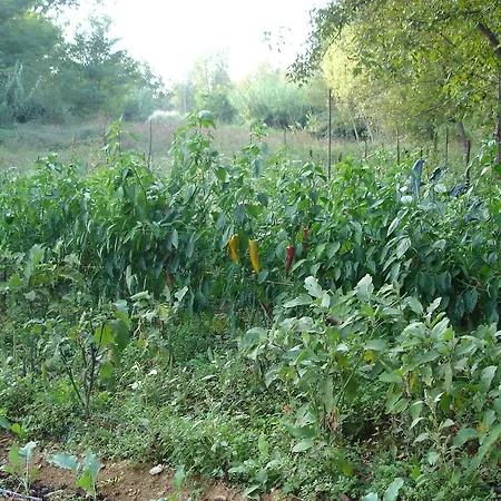 Farm stay Casale Sera